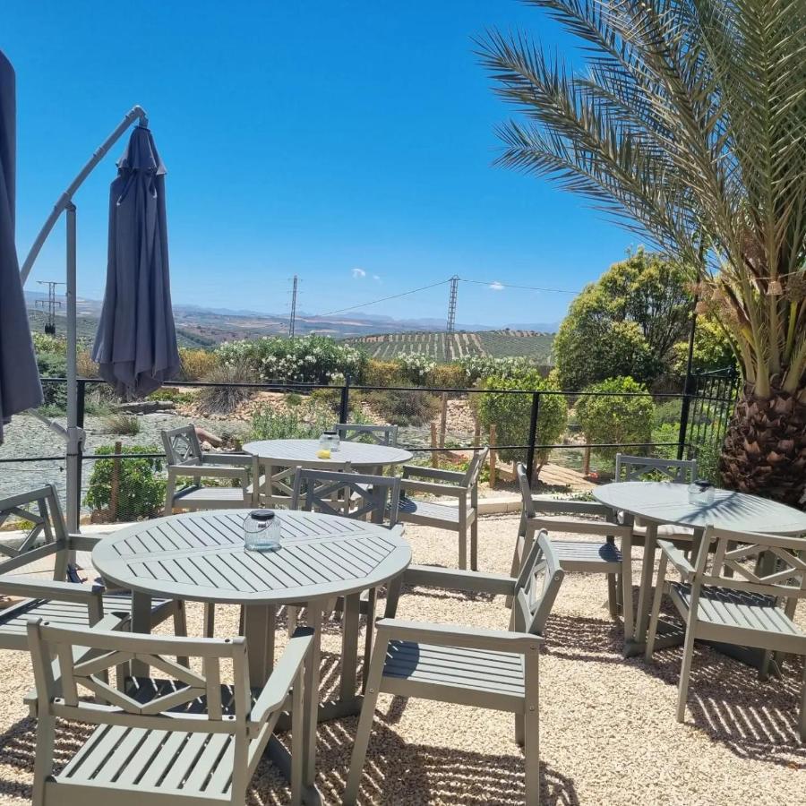 Casa Olivar B&B Tocon エクステリア 写真