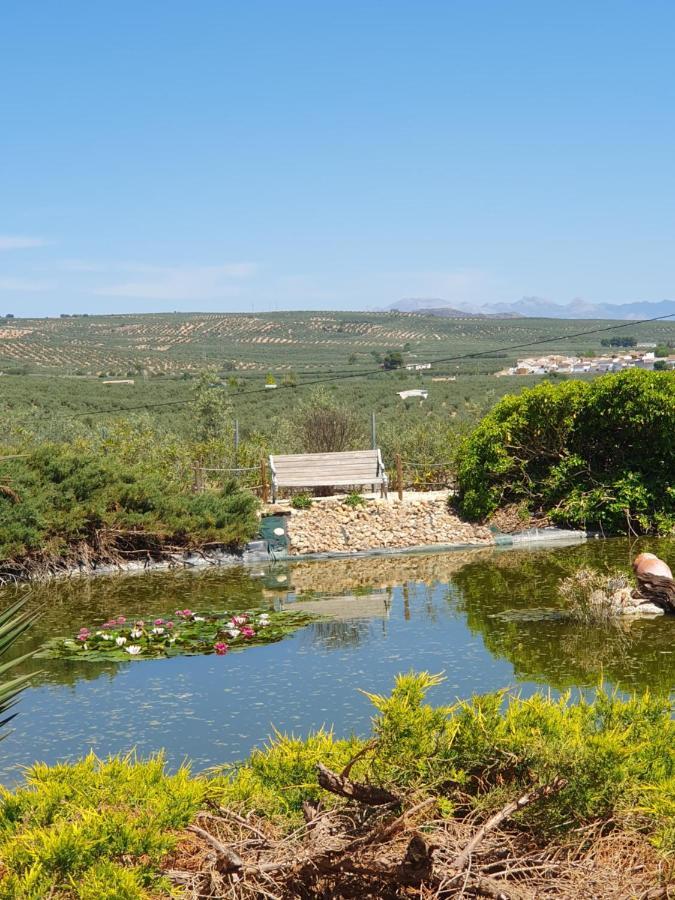 Casa Olivar B&B Tocon エクステリア 写真