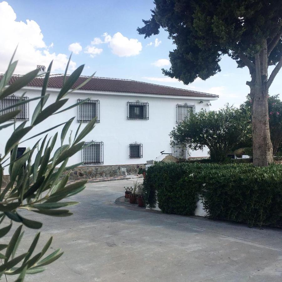 Casa Olivar B&B Tocon エクステリア 写真
