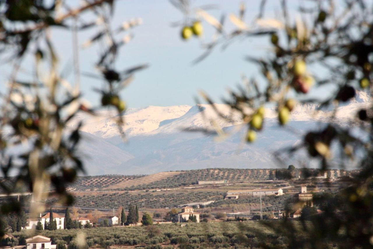 Casa Olivar B&B Tocon エクステリア 写真
