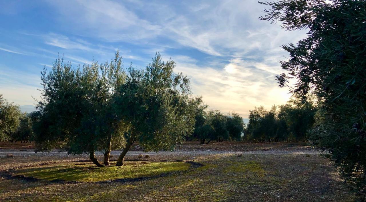 Casa Olivar B&B Tocon エクステリア 写真