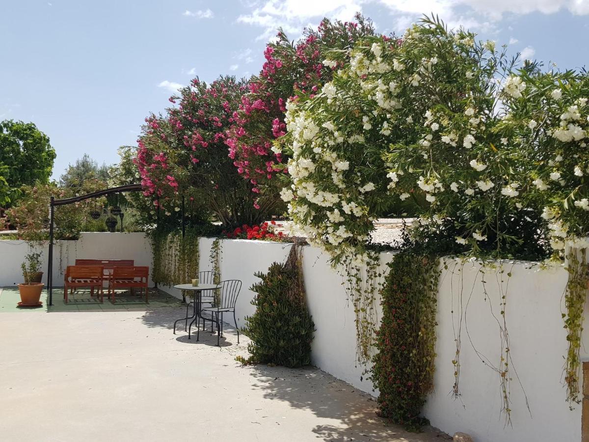 Casa Olivar B&B Tocon エクステリア 写真